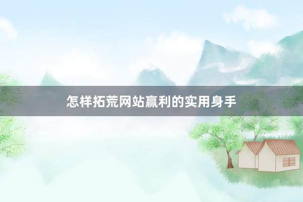 怎样拓荒网站赢利的实用身手