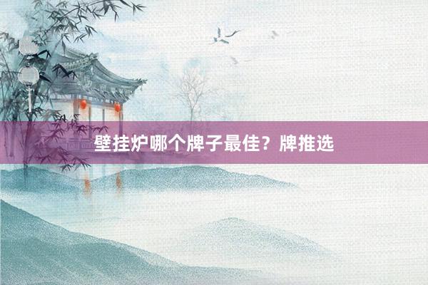 壁挂炉哪个牌子最佳？牌推选